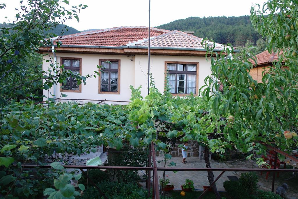 The House In Shipka Villa Ruang foto